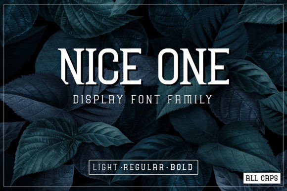 Nice One Display Font for Creative Projects